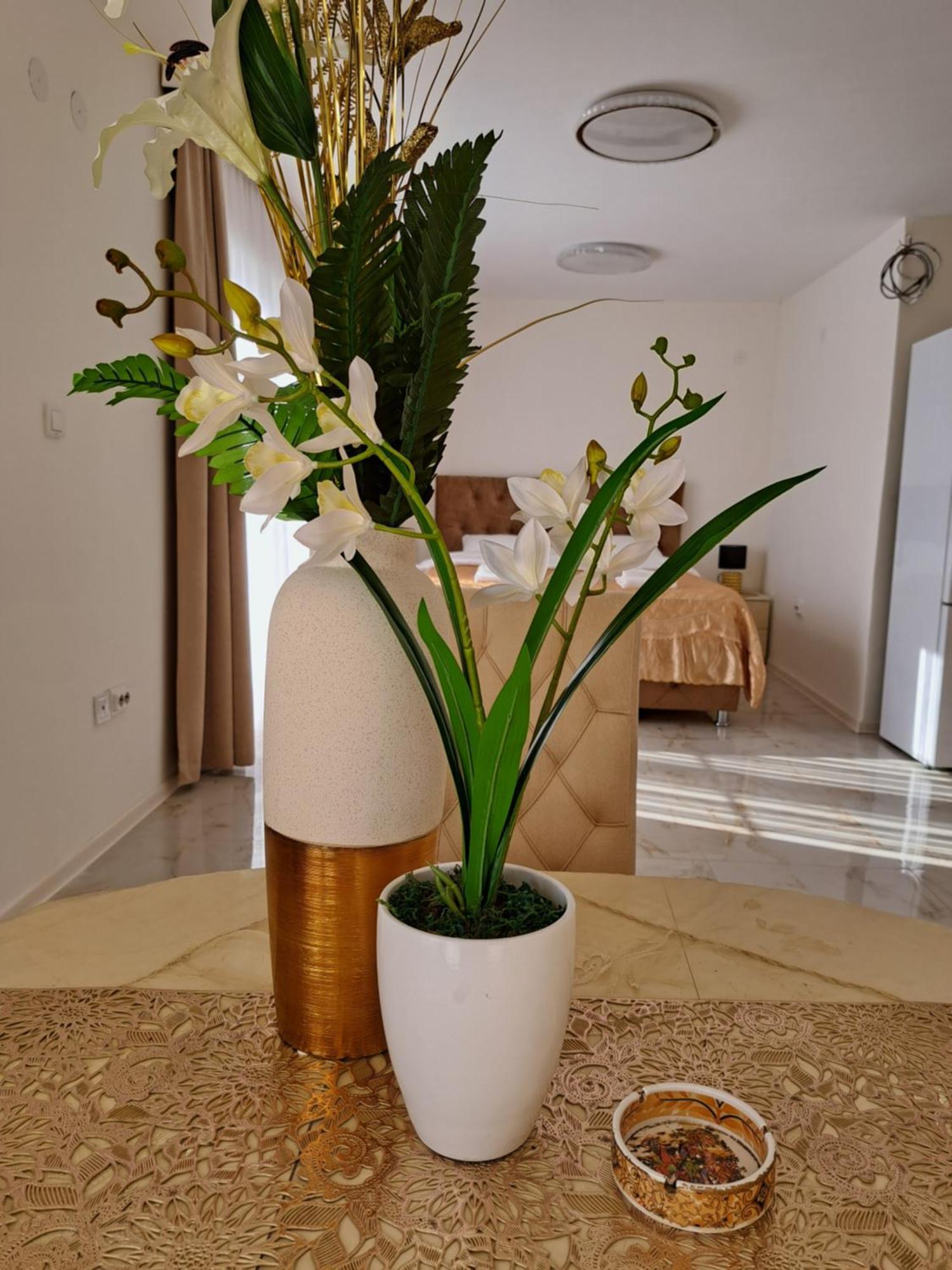 Dina Lux Apartman Jagodina Exterior foto